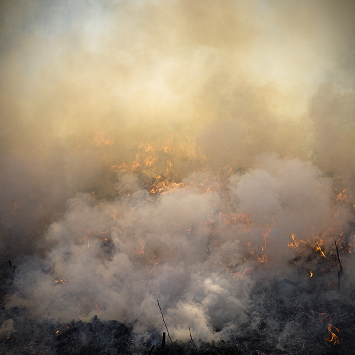 Photo of a controlled burn