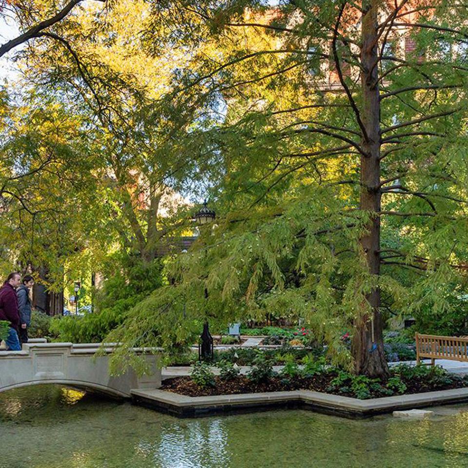 Botany Pond UChicago campus