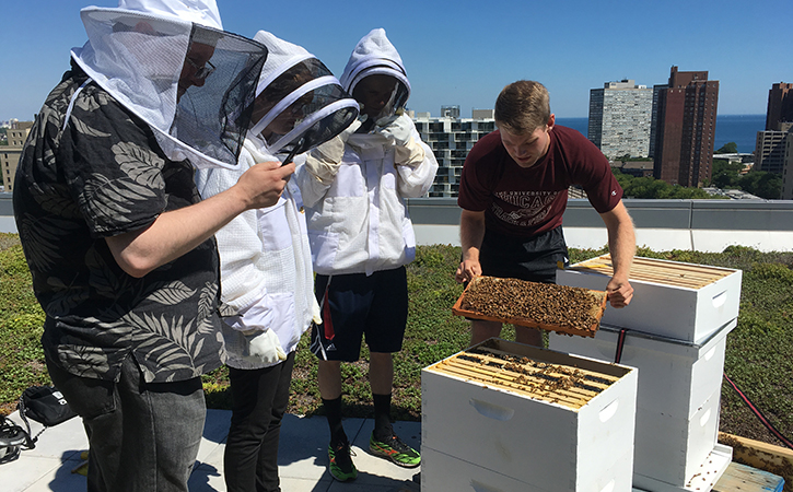 Meet some of the busy new residents of 53rd Street.