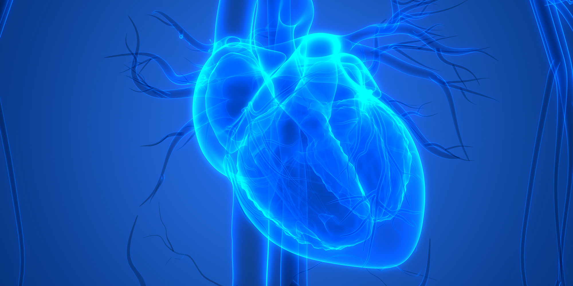 Illuminated heart illustration.