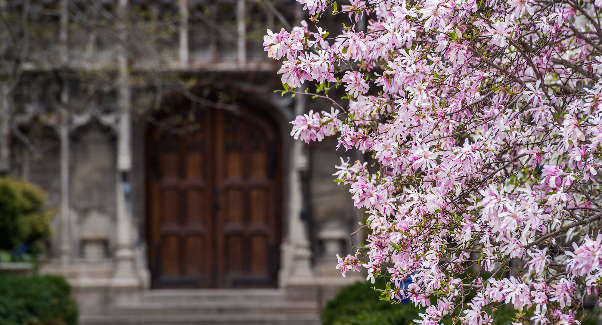 UChicago at your fingertips The University of Chicago Magazine