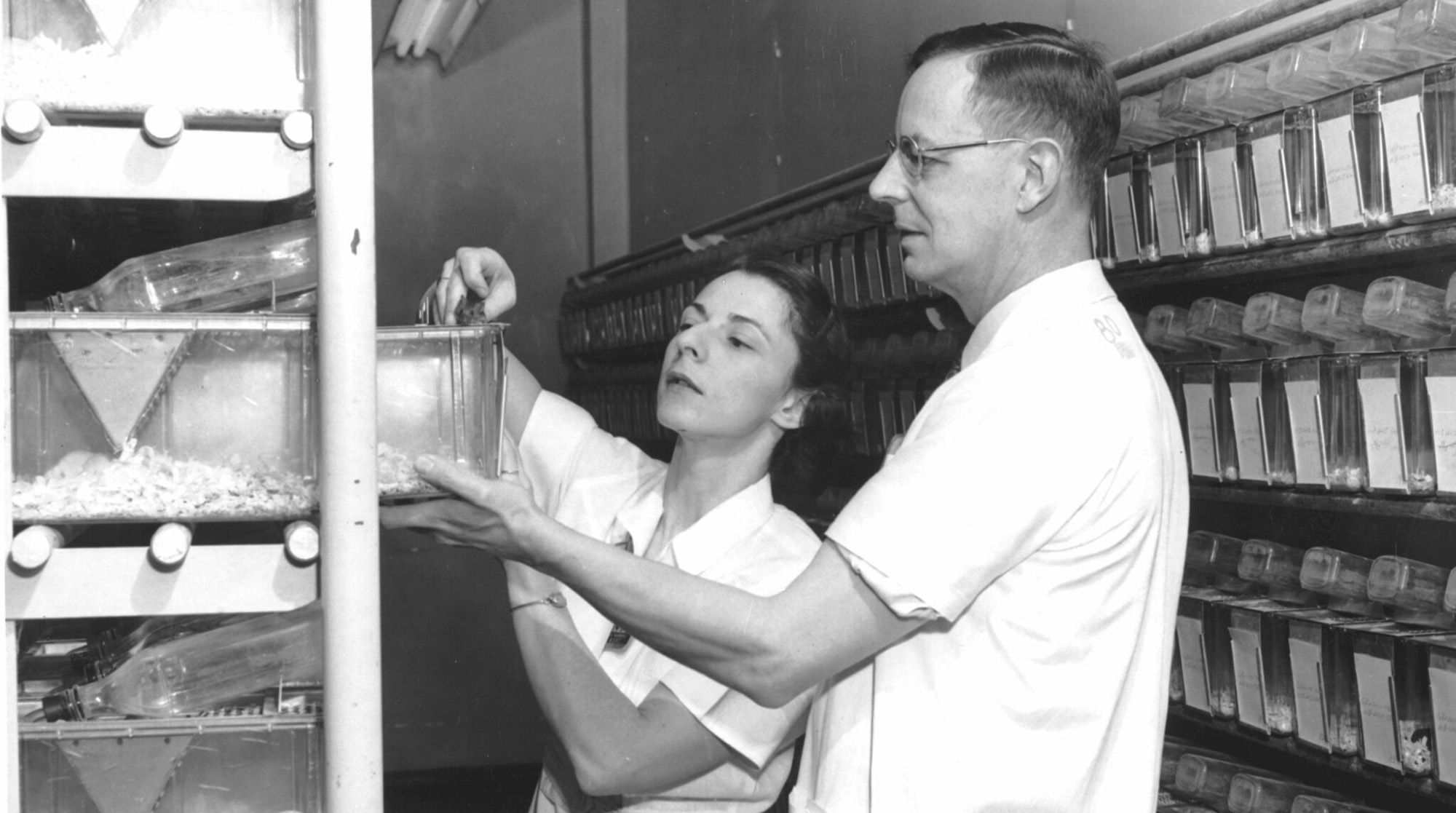 Liane and Bill Russell in 1955