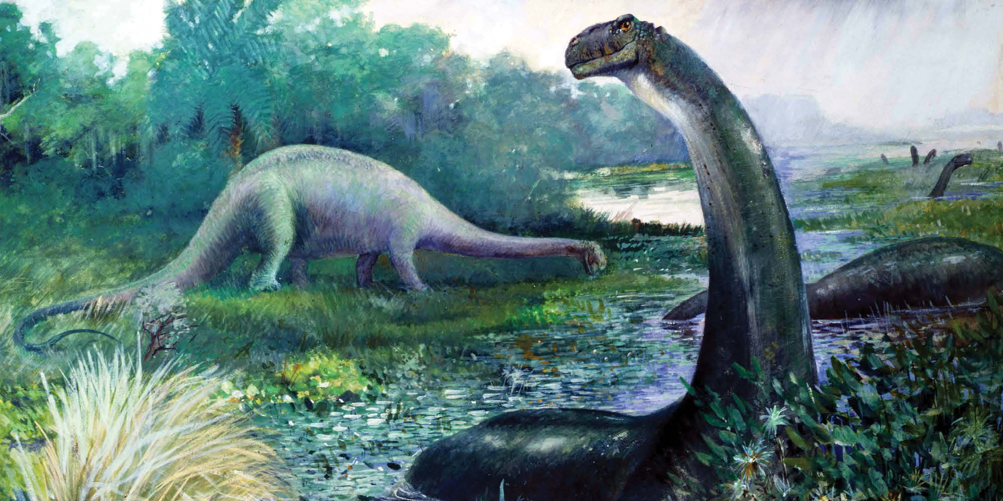 A living dinosaur? – In search of Mokele-Mbembe