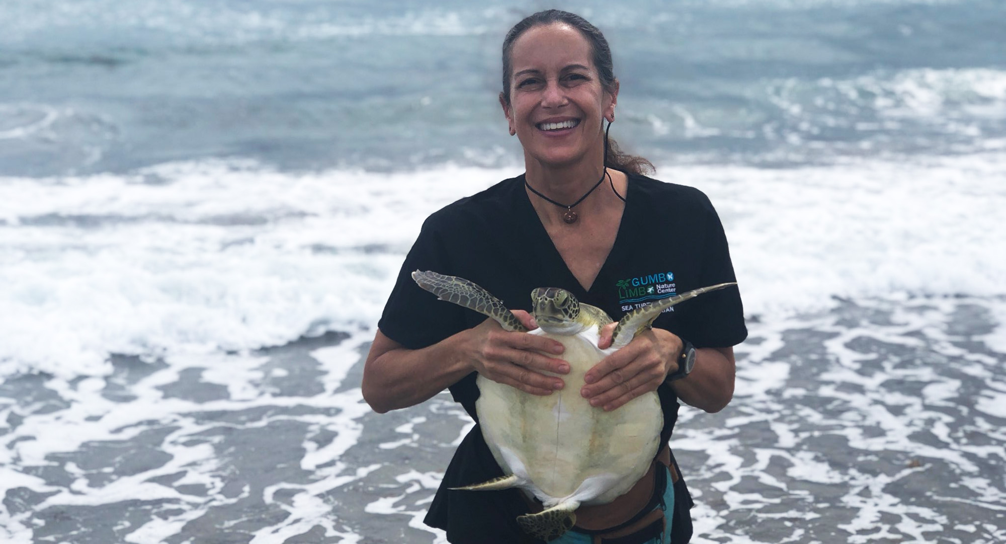 Maria Chadam, AB’88, releases a green sea turtle