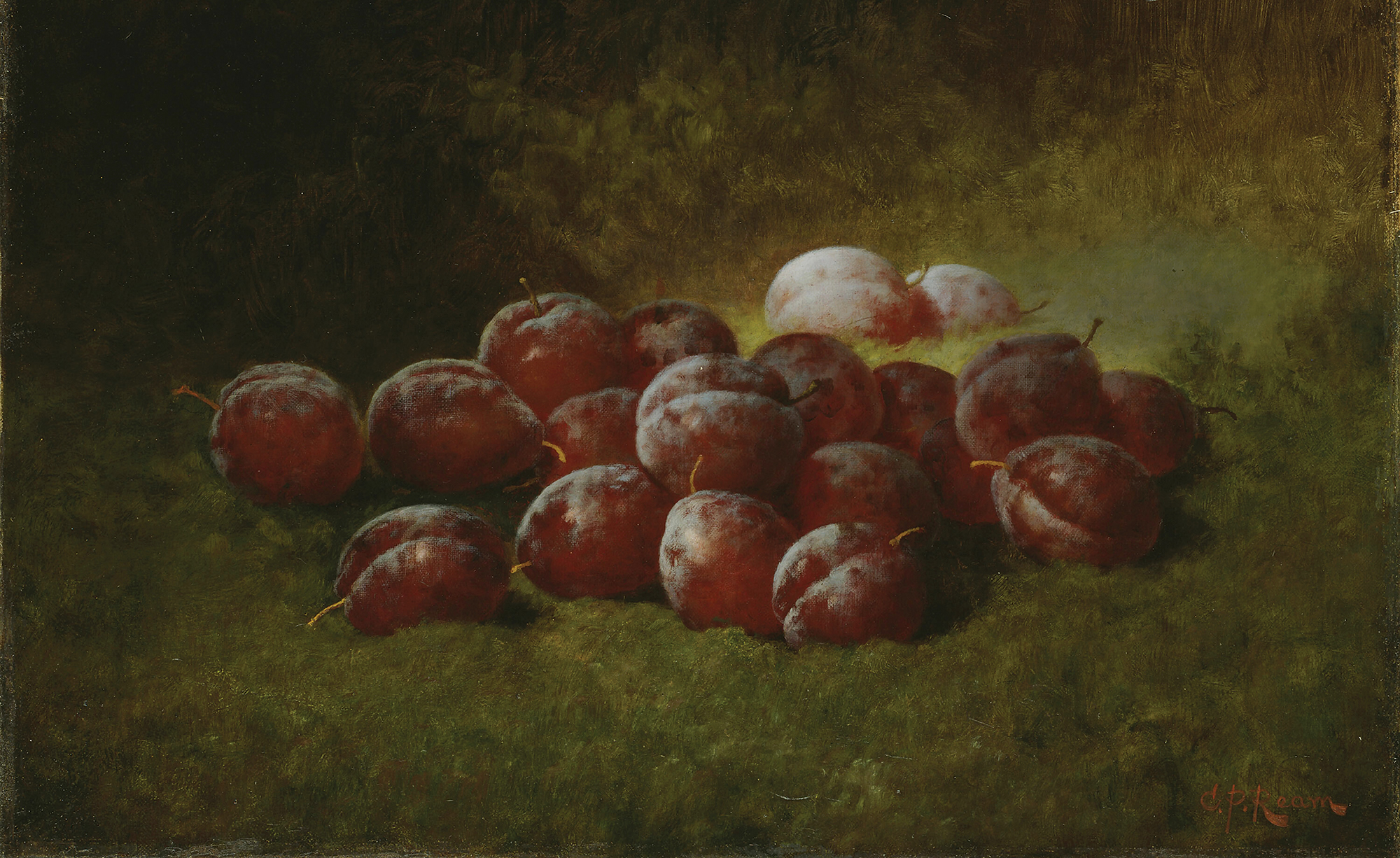 Carducius Plantagenet Ream. Purple Plums, 1895. The Art Institute of Chicago.