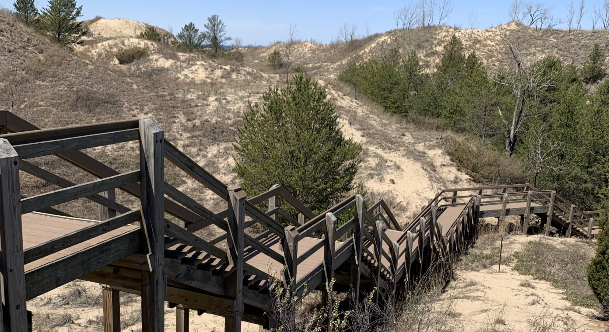 Succession Trail, Indiana Dunes National Park