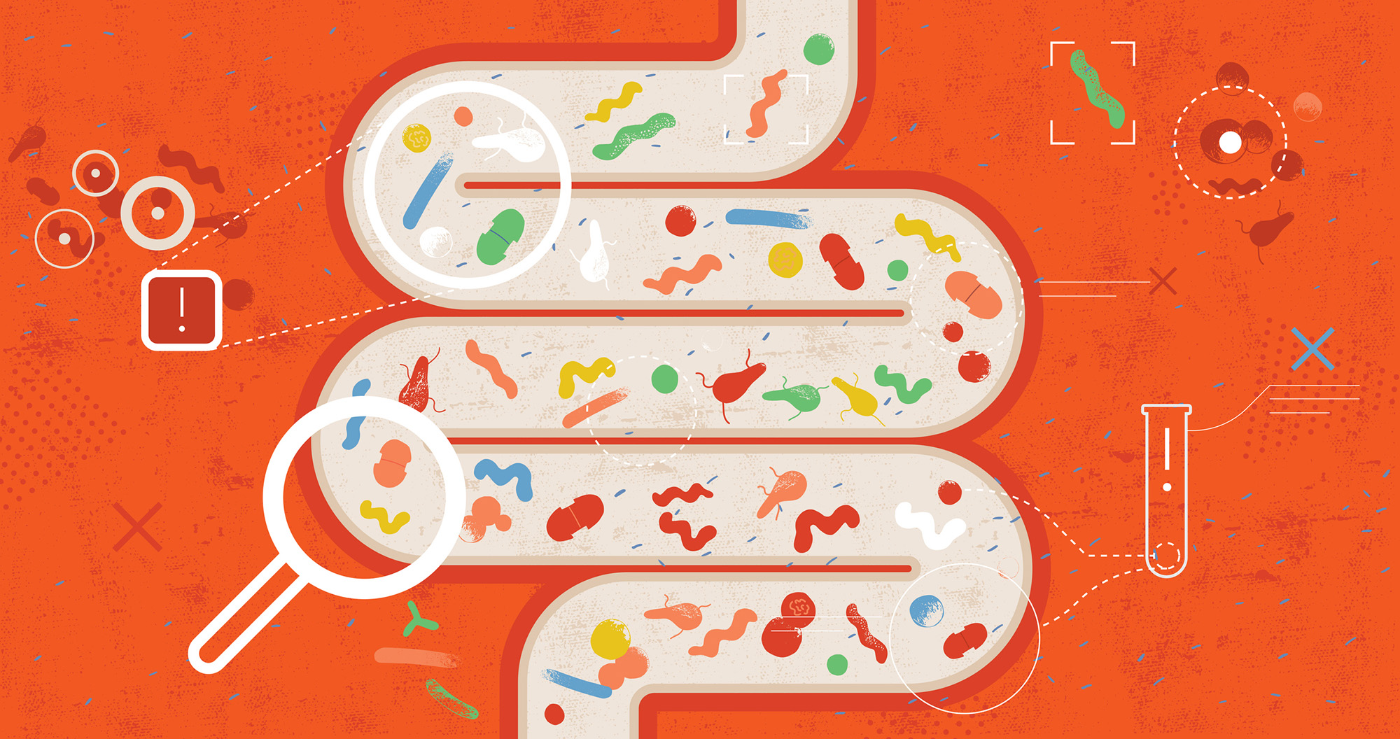 An illustrator's colorful rendering of the gut microbiome.