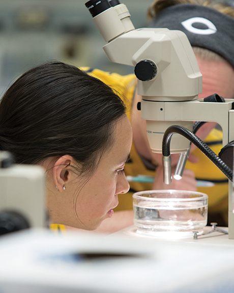 Student inspects a specimen.