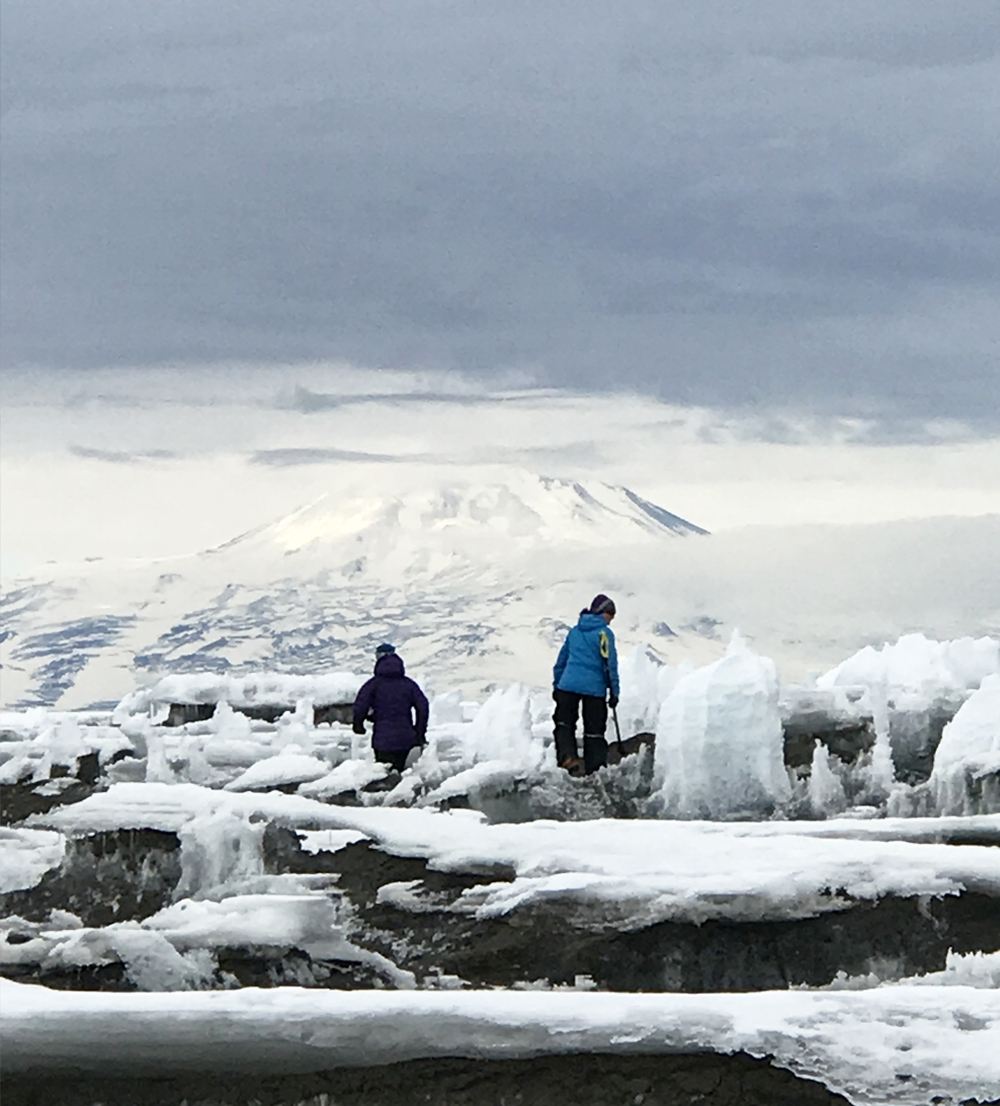 Iceberg researchers