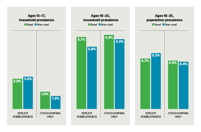 Chart showing prevalence of homeless in ages 13-25
