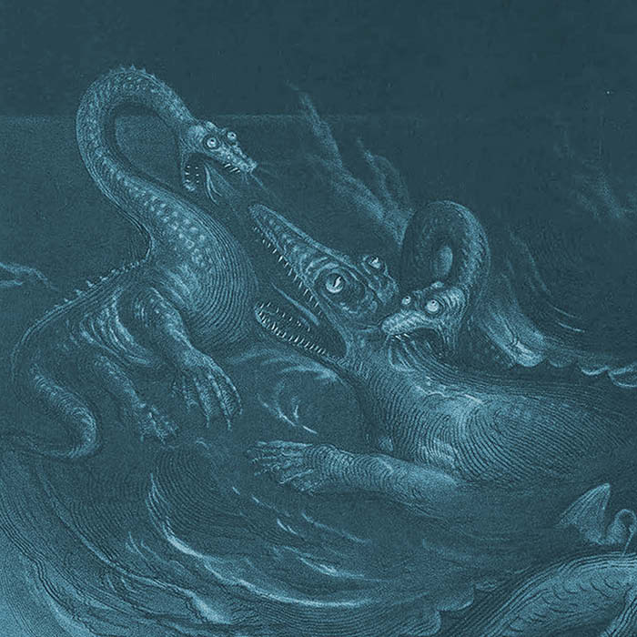 Illustration of “sea dragons”
