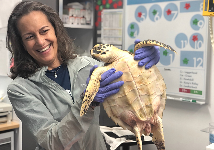 Maria Chadam holding up a sea turtle in a clinic