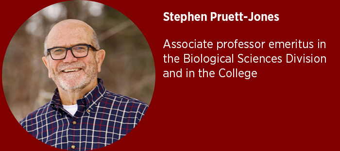 Stephen Pruett-Jones  Associate professor emeritus in the Biological Sciences Division and in the College