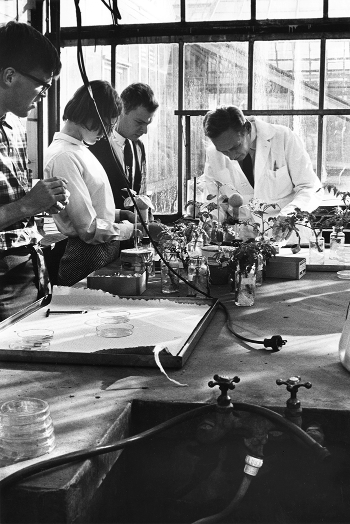 Three students stand to the left of a table. A professor in a white lab coat is at the end of the table. On the table are jars filled with different plants, a tray with petri dishes. A cord hangs from the ceiling and in the foreground are water knobs and a hose.
