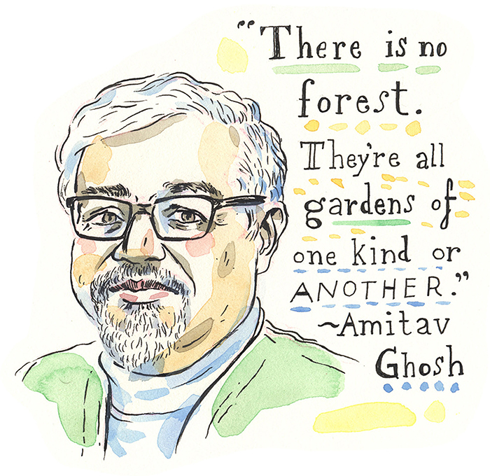 Illustration showing a figure with white hair and glasses, wearing a green jacket over a blue shirt. To the right is a quote written in stylized lettering that reads, There is no forest. Theyre all gardens of one kind or another. Amitav Ghosh
