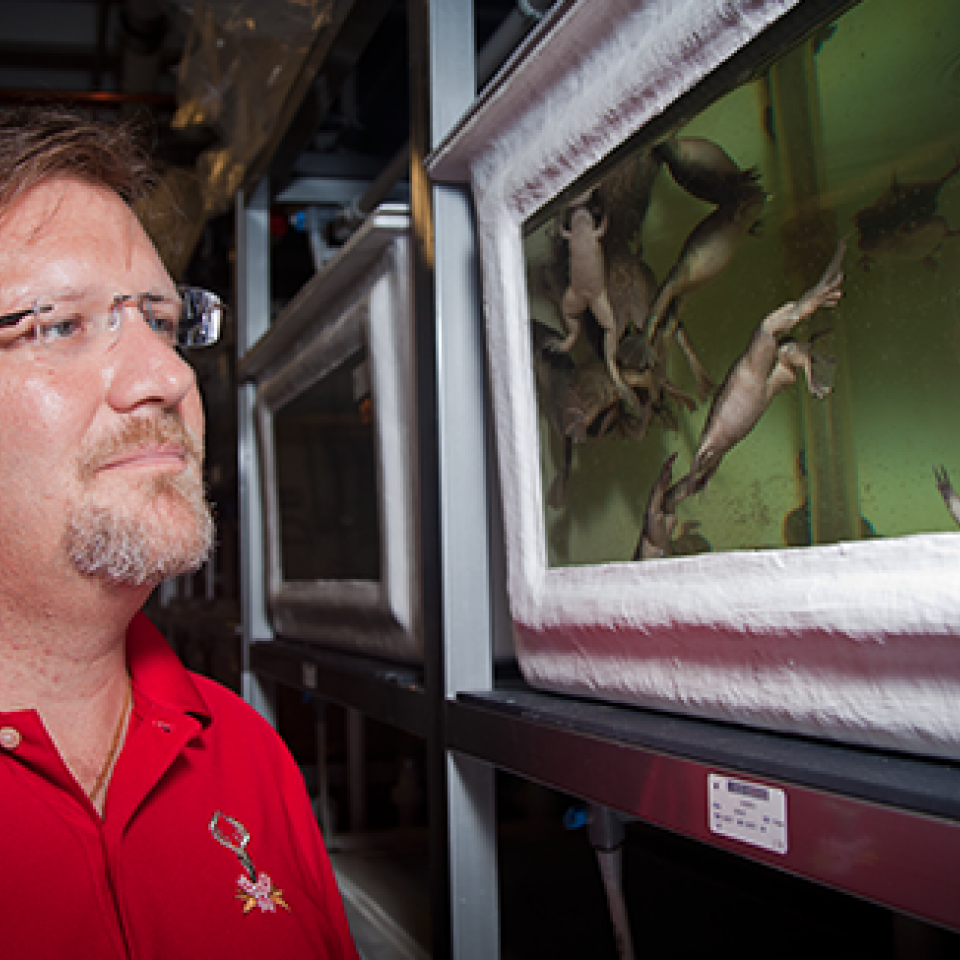 Marine Biological Laboratory | The University Of Chicago Magazine