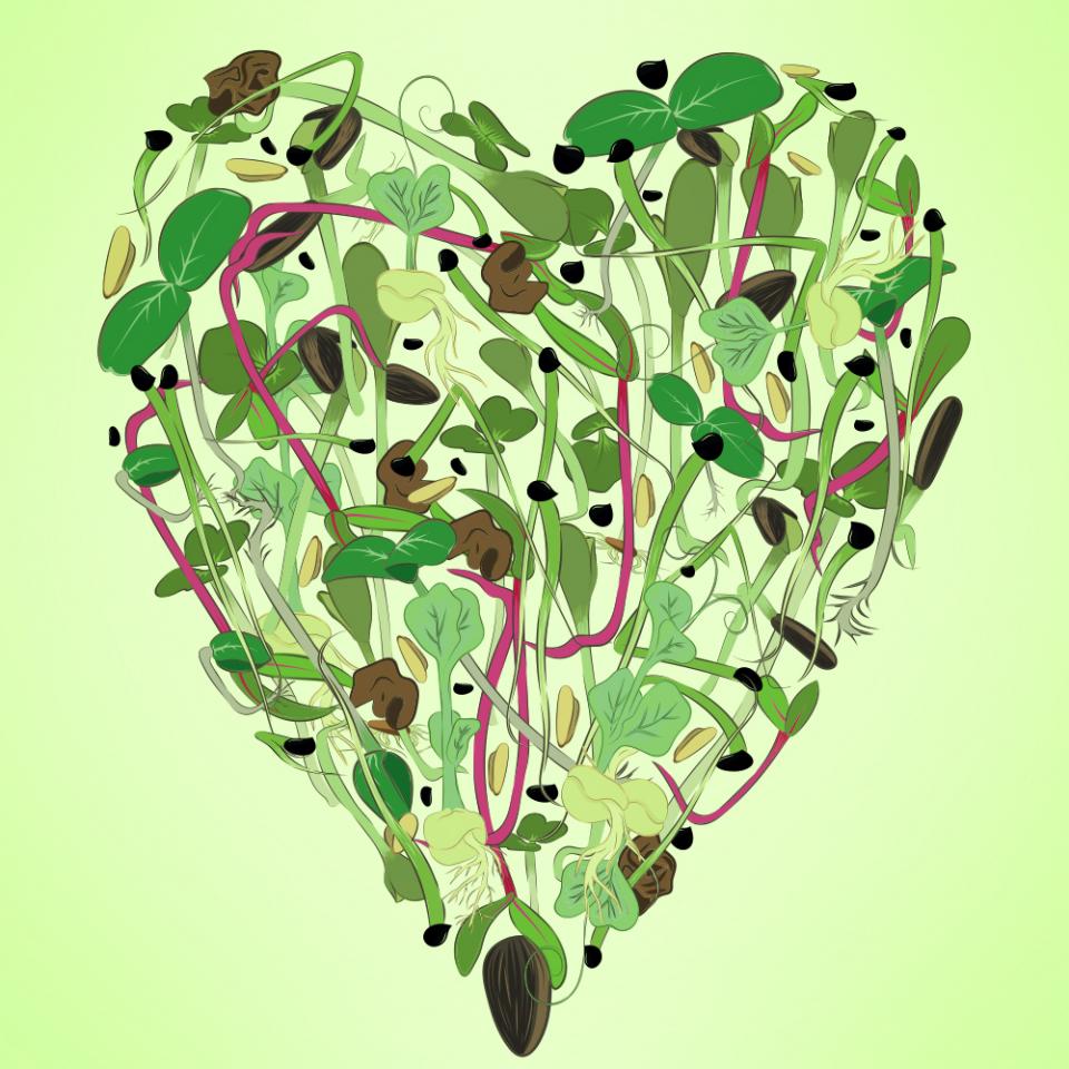 A heart composed of micro greens.