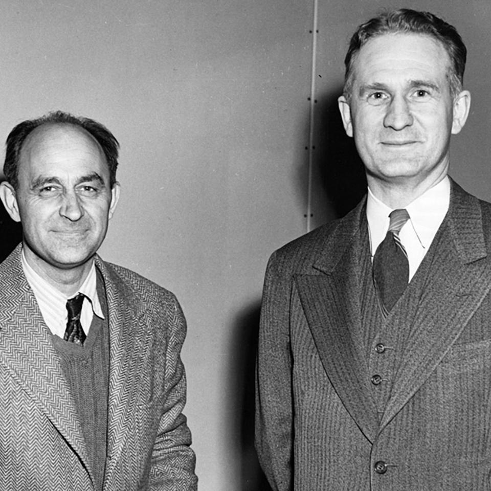 Enrico Fermi and Walter Zinn