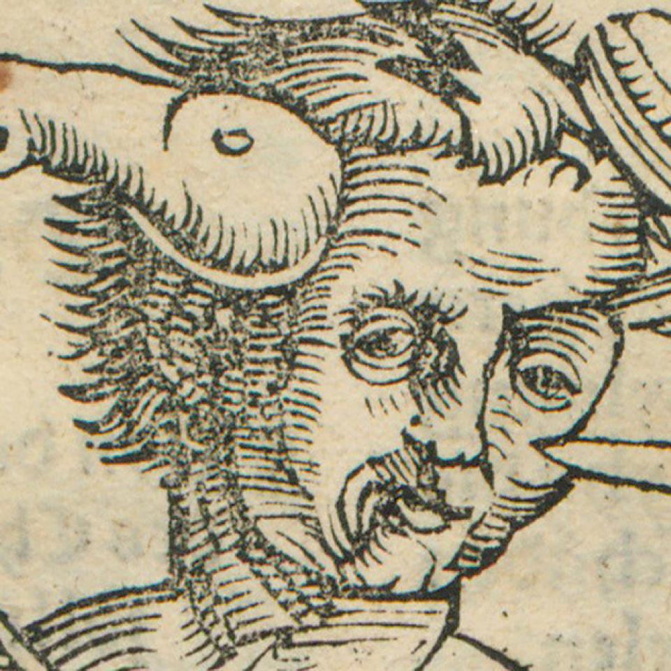 Detail of the head from the 1517 illustration of Wound Man