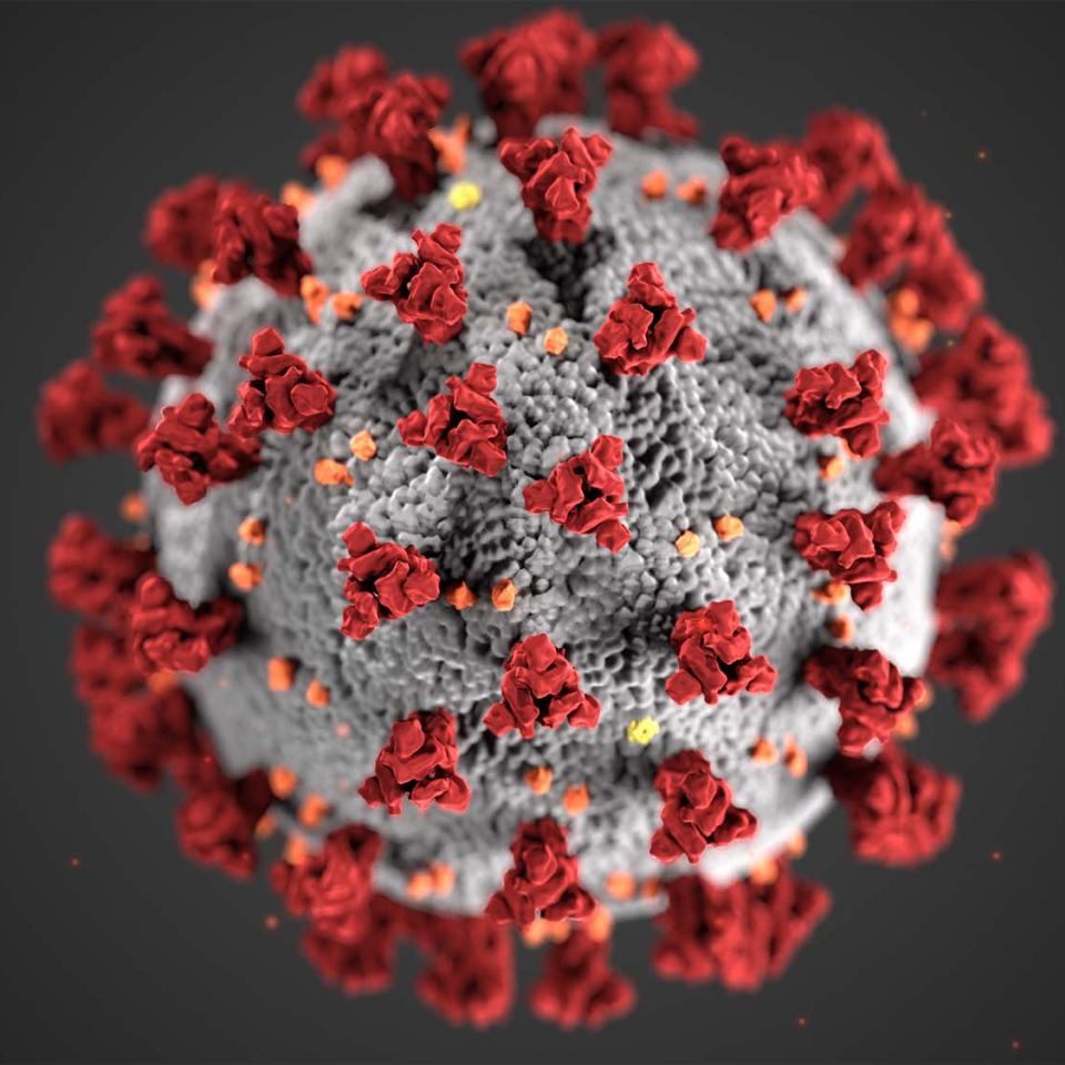 Illustration of coronavirus structure