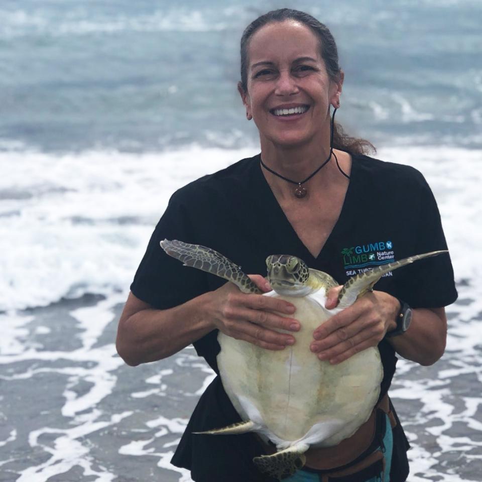Maria Chadam, AB’88, releases a green sea turtle