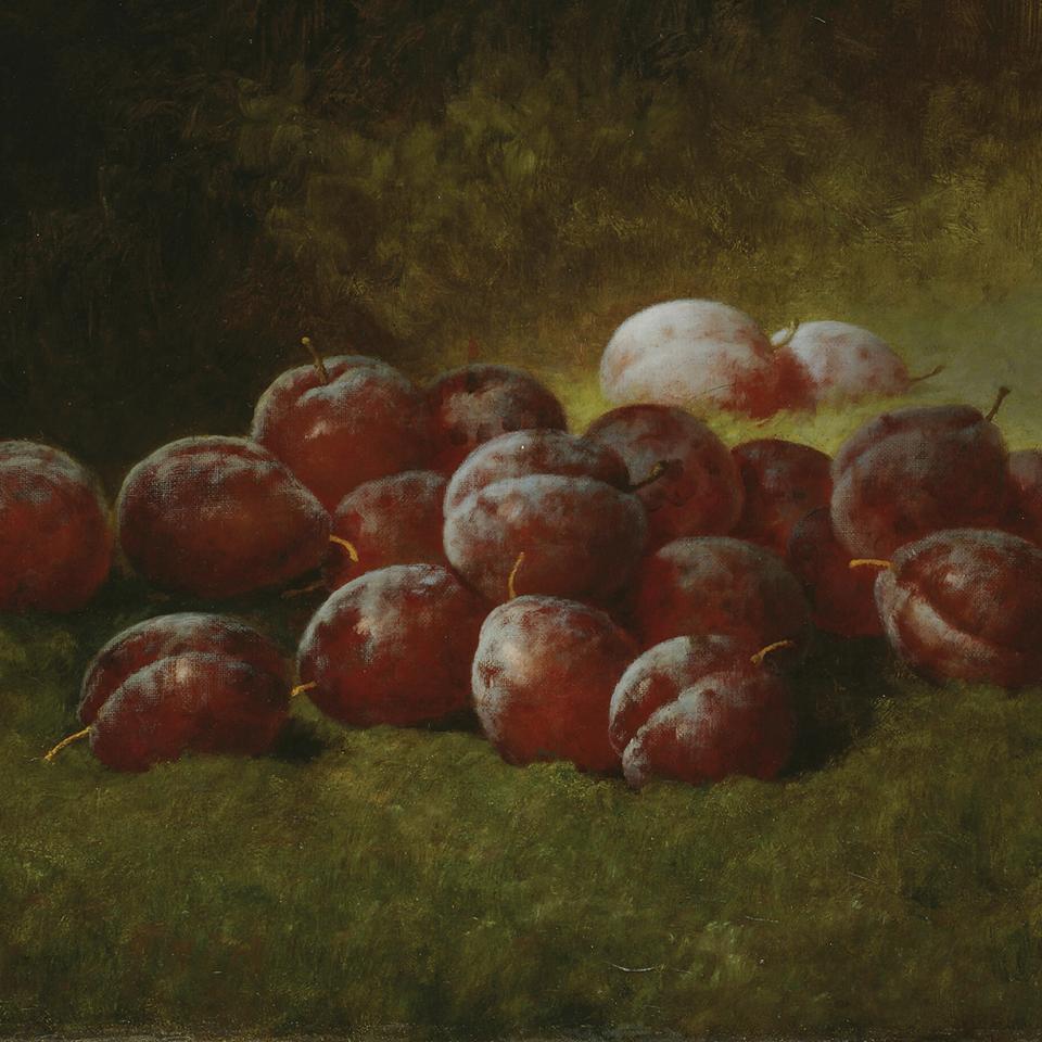 Carducius Plantagenet Ream. Purple Plums, 1895. The Art Institute of Chicago.