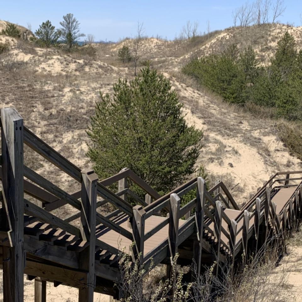 Succession Trail, Indiana Dunes National Park